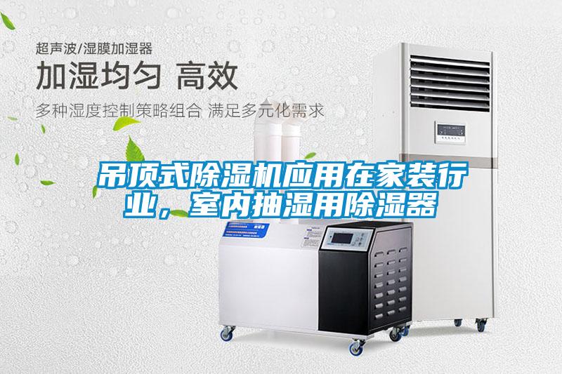吊頂式91看片在线下载機應用在家裝行業，室內抽濕用91看片在线下载器