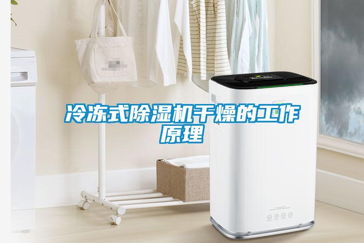 冷凍式91看片在线下载機幹燥的工作原理