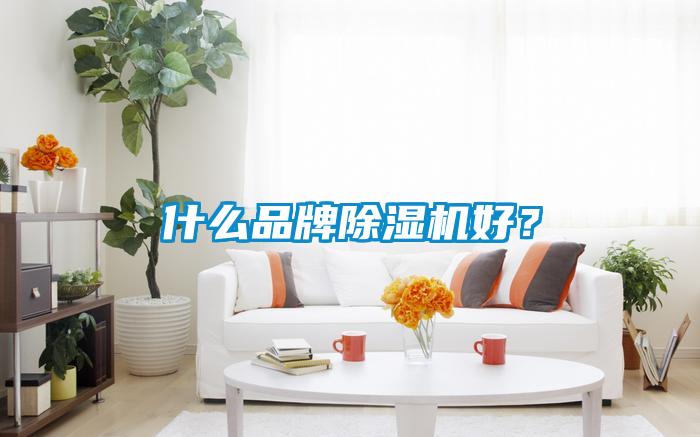 什麽品牌91看片在线下载機好？
