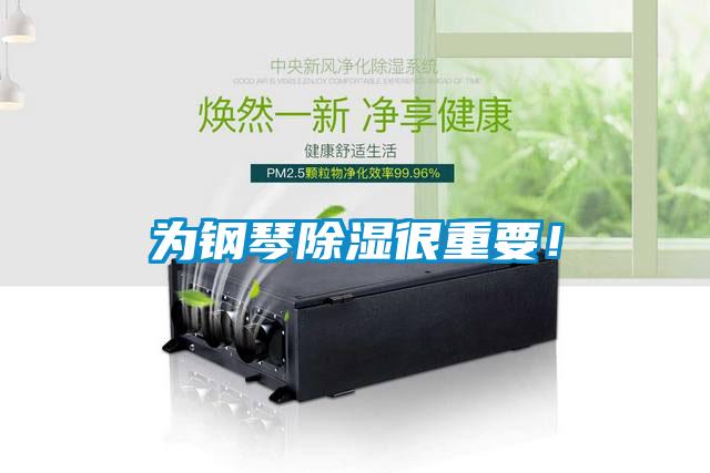 為鋼琴91看片在线下载很重要！