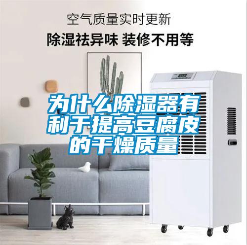 為什麽91看片在线下载器有利於提高豆腐皮的幹燥質量
