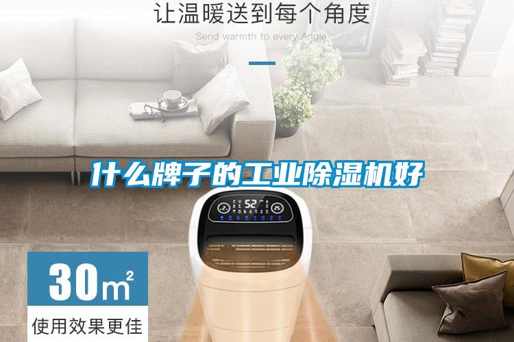 什麽牌子的工業91看片在线下载機好