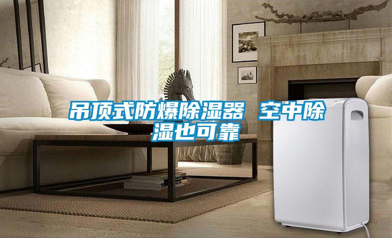吊頂式防爆91看片在线下载器 空中91看片在线下载也可靠