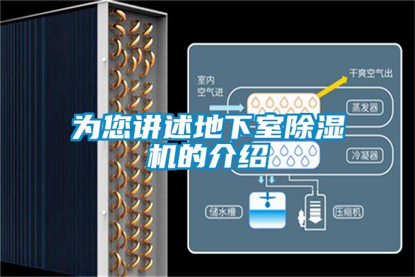 為您講述地下室91看片在线下载機的介紹