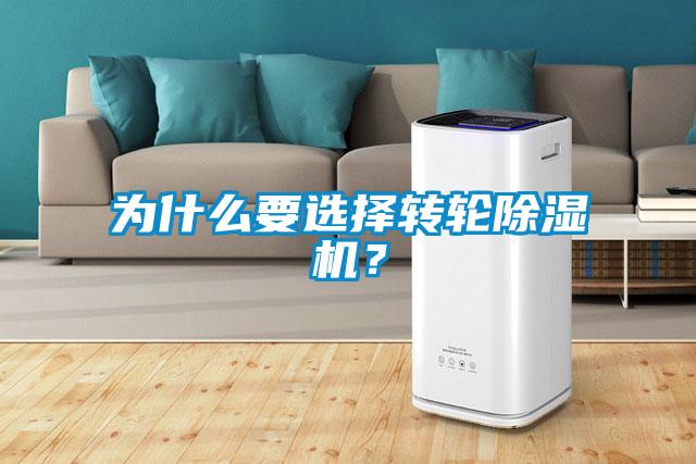 為什麽要選擇轉輪91看片在线下载機？