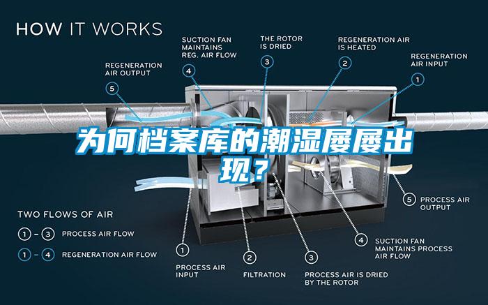為何檔案庫的潮濕屢屢出現？