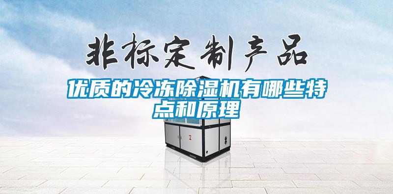 優質的冷凍91看片在线下载機有哪些特點和原理