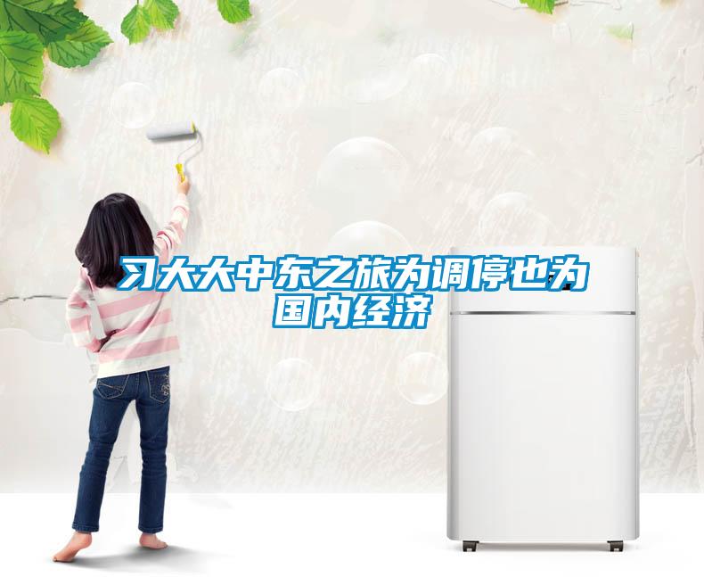 習大大中東之旅為調停也為國內經濟