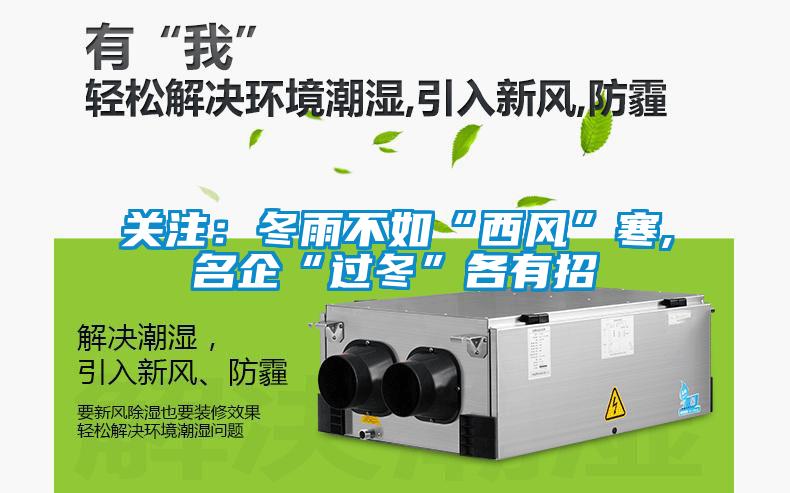 關注：冬雨不如“西風”寒,名企“過冬”各有招