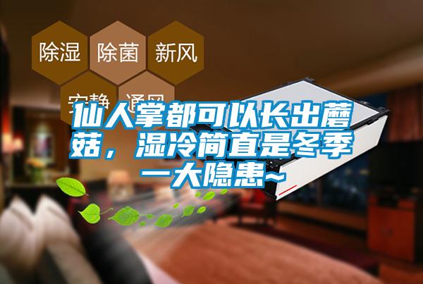 仙人掌都可以長出蘑菇，濕冷簡直是冬季一大隱患~