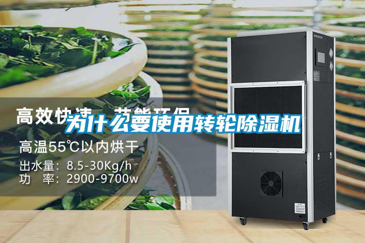 為什麽要使用轉輪91看片在线下载機
