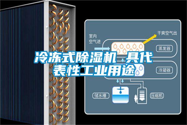 冷凍式91看片在线下载機 具代表性工業用途