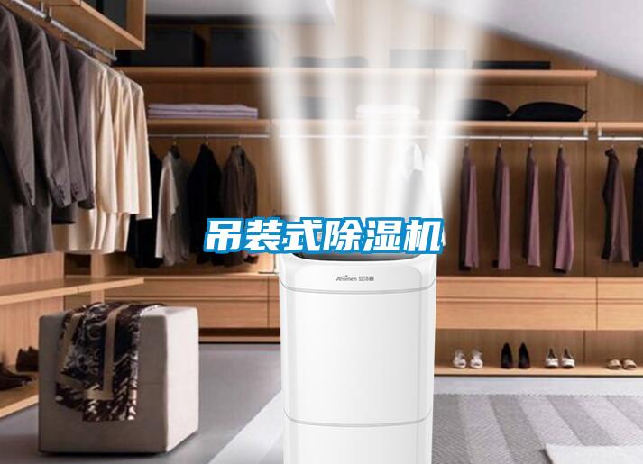 吊裝式91看片在线下载機