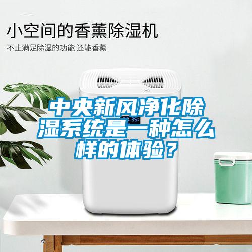 中央新風淨化91看片在线下载係統是一種怎麽樣的體驗？