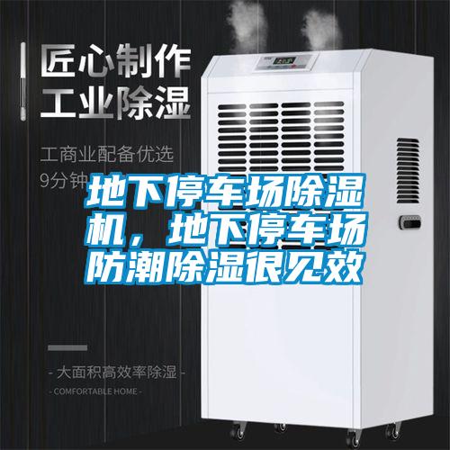 地下停車場91看片在线下载機，地下停車場防潮91看片在线下载很見效