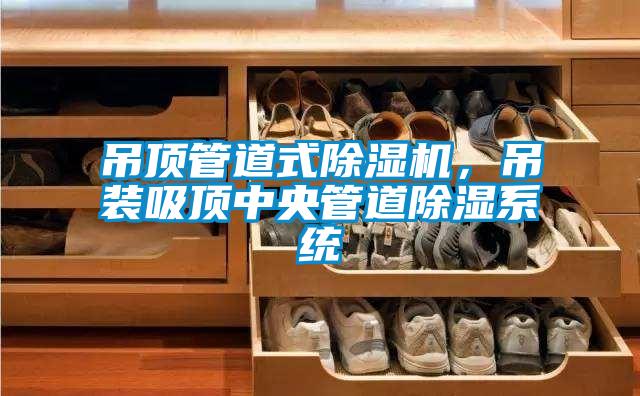 吊頂管道式91看片在线下载機，吊裝吸頂中央管道91看片在线下载係統