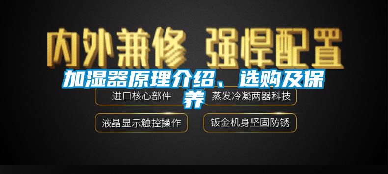 加濕器原理介紹、選購及保養