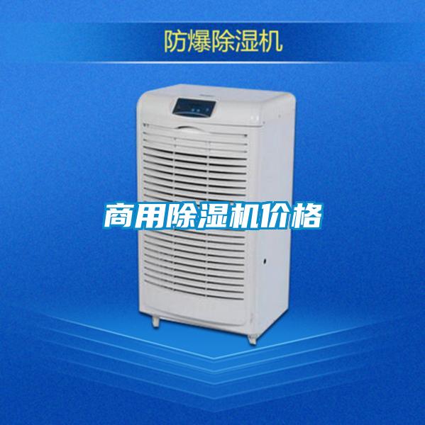 商用91看片在线下载機價格
