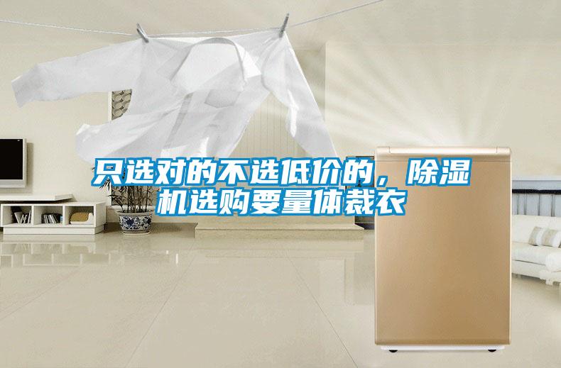 隻選對的不選低價的，91看片在线下载機選購要量體裁衣