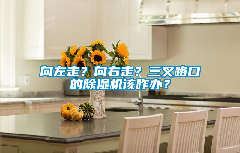 向左走？向右走？三叉路口的91看片在线下载機該咋辦？