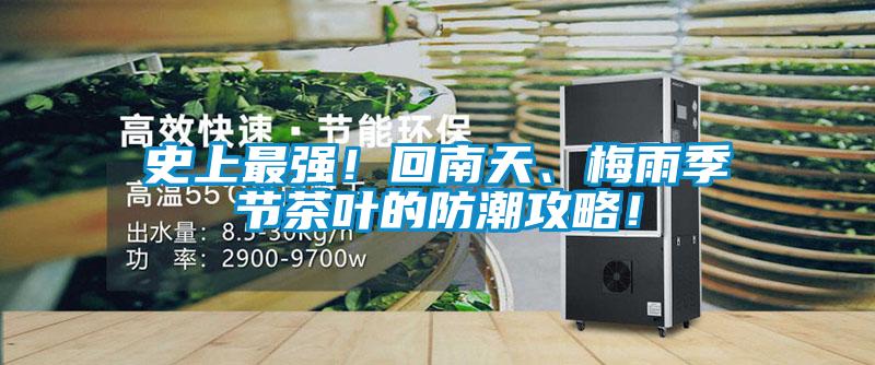 史上最強！回南天、梅雨季節茶葉的防潮攻略！