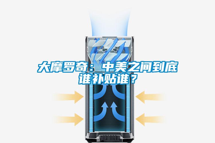 大摩羅奇：中美之間到底誰補貼誰？