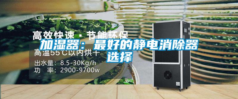 加濕器：最好的靜電消除器選擇