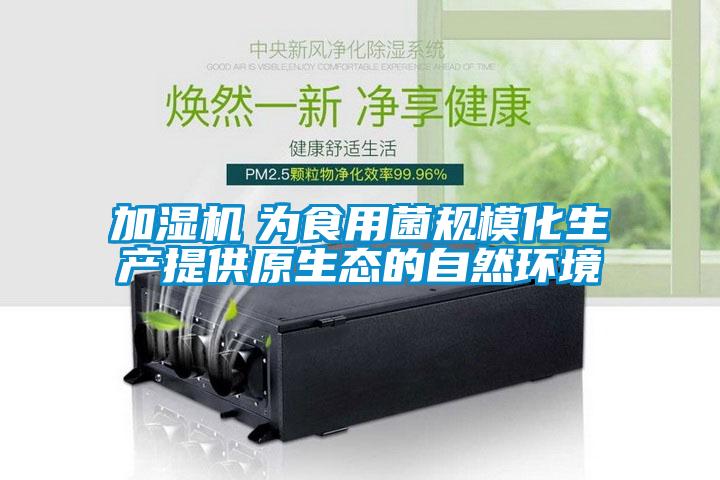 加濕機　為食用菌規模化生產提供原生態的自然環境