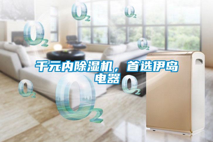 千元內91看片在线下载機，首選伊島電器