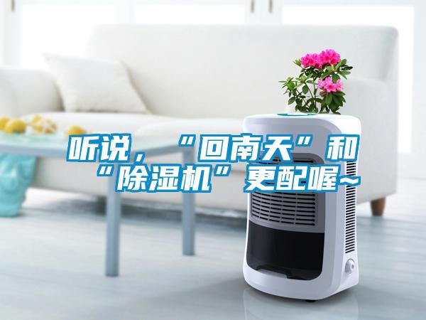 聽說，“回南天”和“91看片在线下载機”更配喔~