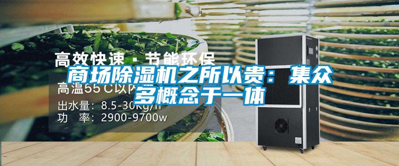 商場91看片在线下载機之所以貴：集眾多概念於一體