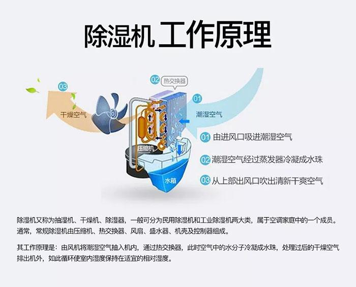 91免费看片APP新風91看片在线下载