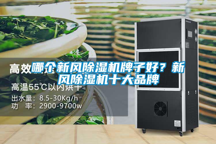 哪個新風91看片在线下载機牌子好？新風91看片在线下载機十大品牌