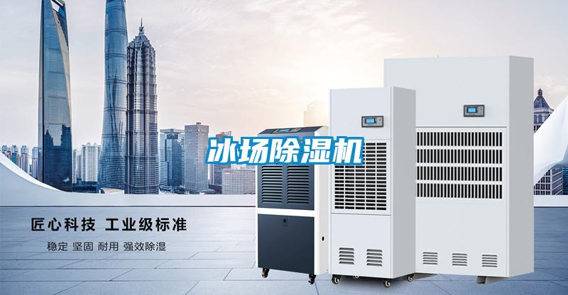 冰場91看片在线下载機