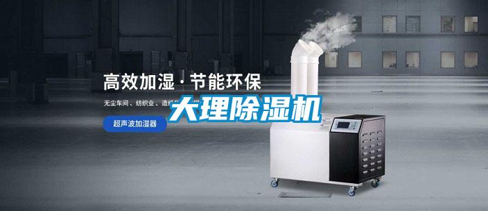 大理91看片在线下载機