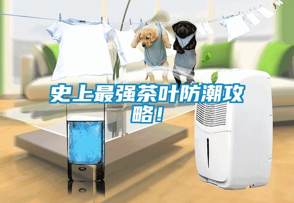 史上最強茶葉防潮攻略！