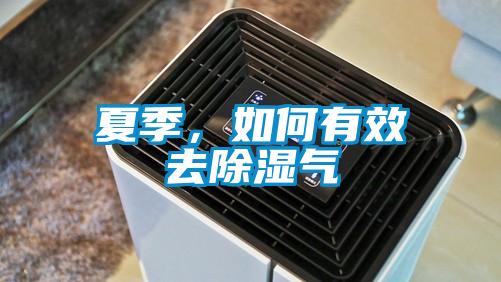 夏季，如何有效去91看片在线下载氣