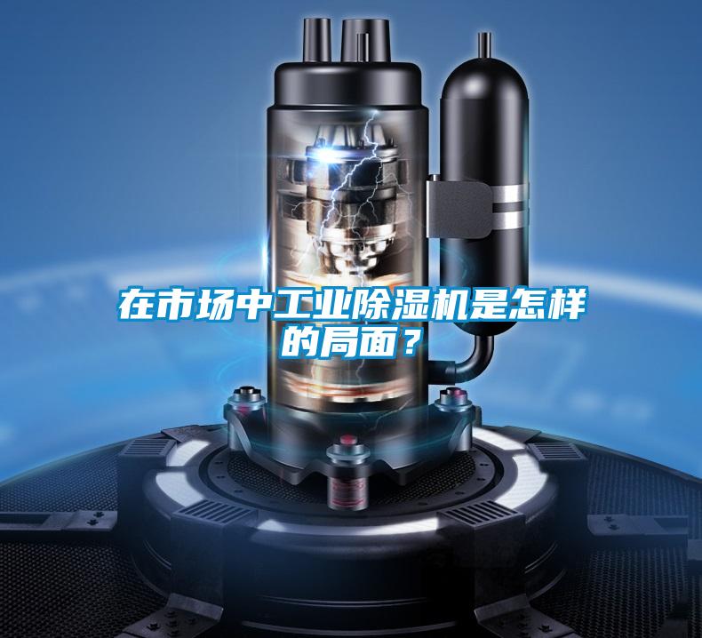 在市場中工業91看片在线下载機是怎樣的局麵？