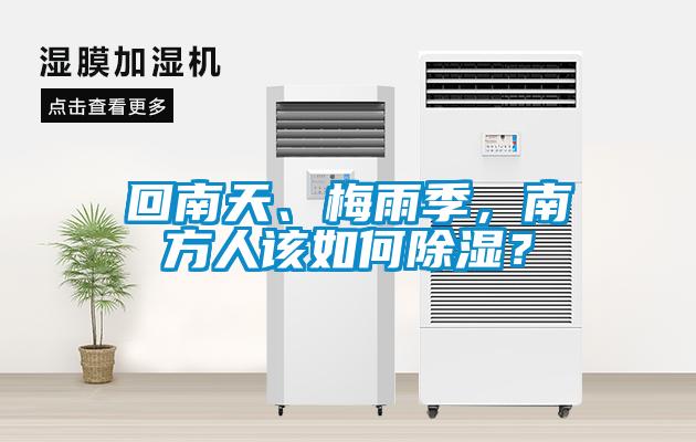 回南天、梅雨季，南方人該如何91看片在线下载？