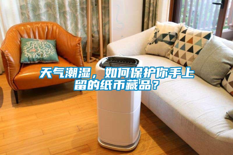 天氣潮濕，如何保護你手上留的紙幣藏品？