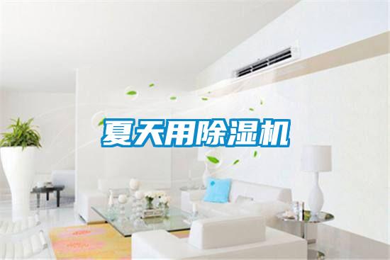 夏天用91看片在线下载機