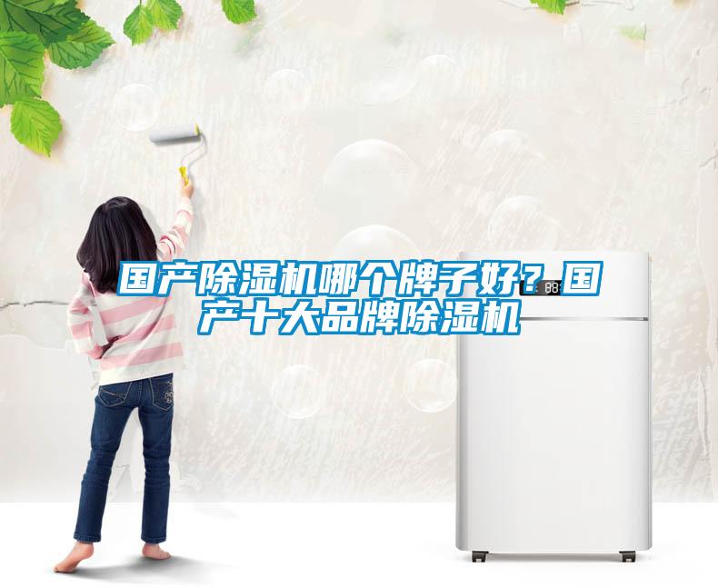 國產91看片在线下载機哪個牌子好?國產十大品牌91看片在线下载機
