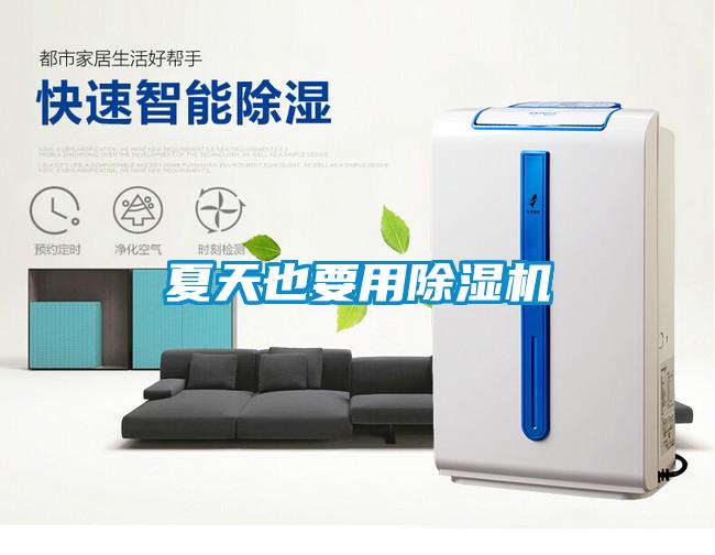 夏天也要用91看片在线下载機