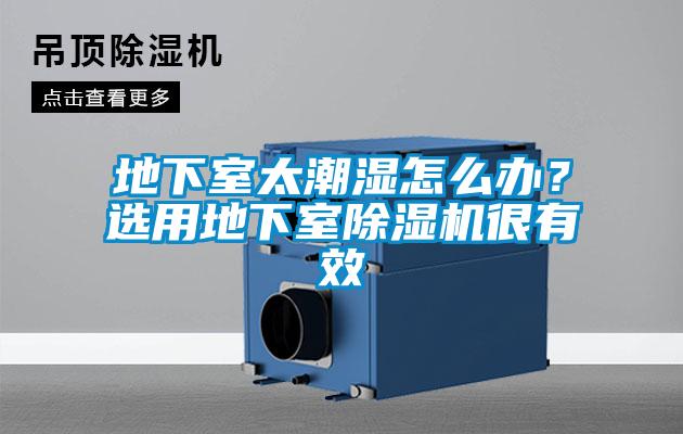 地下室太潮濕怎麽辦？選用地下室91看片在线下载機很有效
