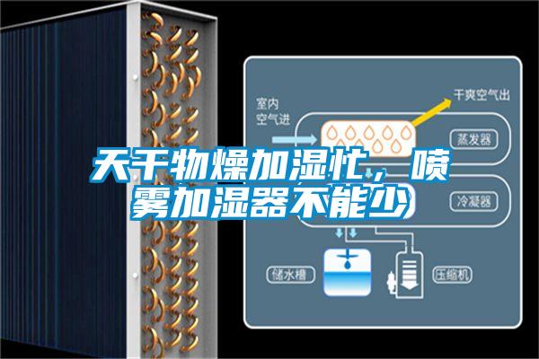 天幹物燥加濕忙，噴霧加濕器不能少