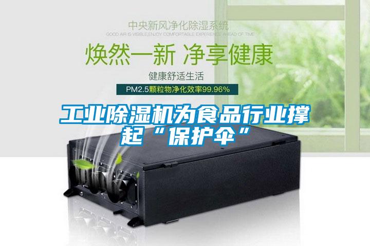工業91看片在线下载機為食品行業撐起“保護傘”