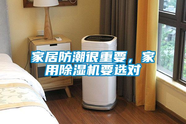 家居防潮很重要，家用91看片在线下载機要選對