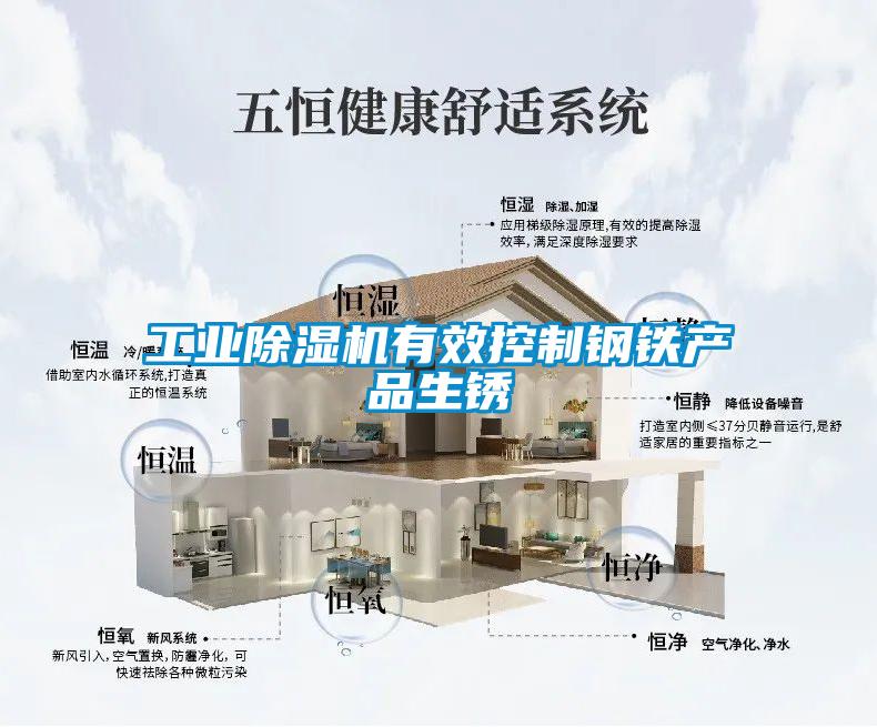 工業91看片在线下载機有效控製鋼鐵產品生鏽