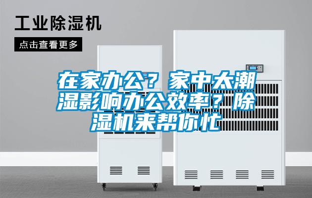 在家辦公？家中太潮濕影響辦公效率？91看片在线下载機來幫你忙