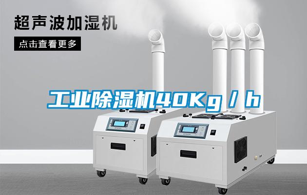 工業91看片在线下载機40Kg／h